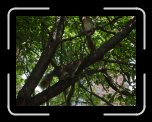 P1000091 * 3072 x 2304 * (3.71MB)