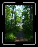 P1000695 * 3072 x 2304 * (3.81MB)