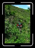 DSCN0573 * 426 x 640 * (121KB)