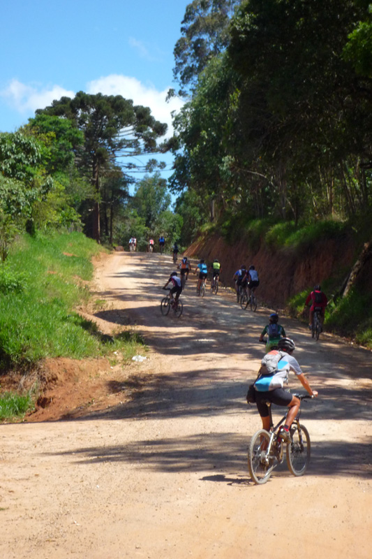 Próximo slide