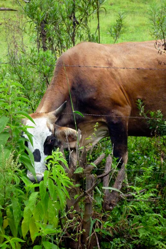 Pr&oacute;ximo slide