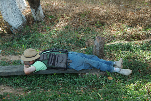 Próximo slide