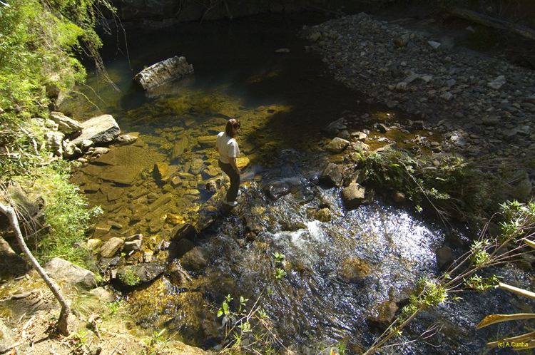 Pr&oacute;ximo slide