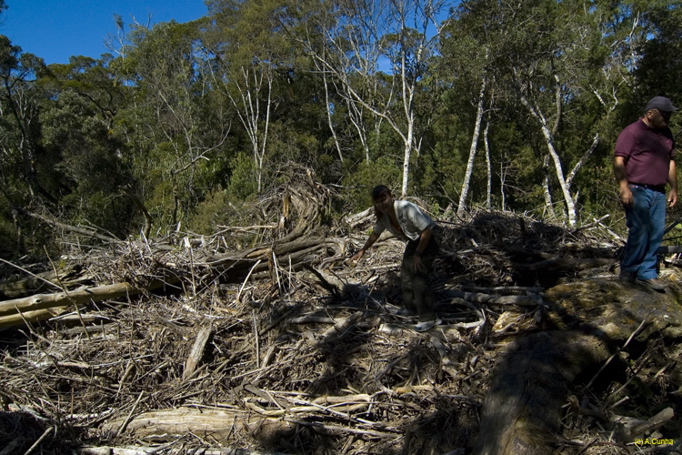 Pr&oacute;ximo slide