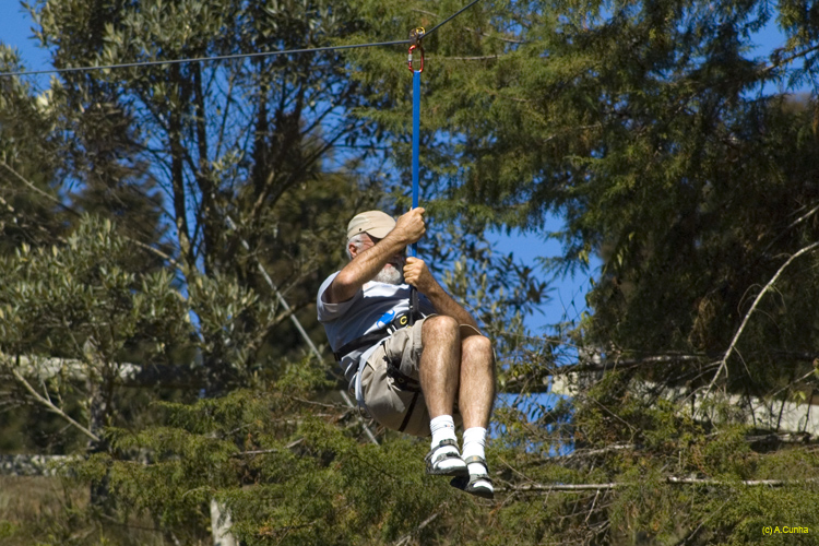 Próximo slide