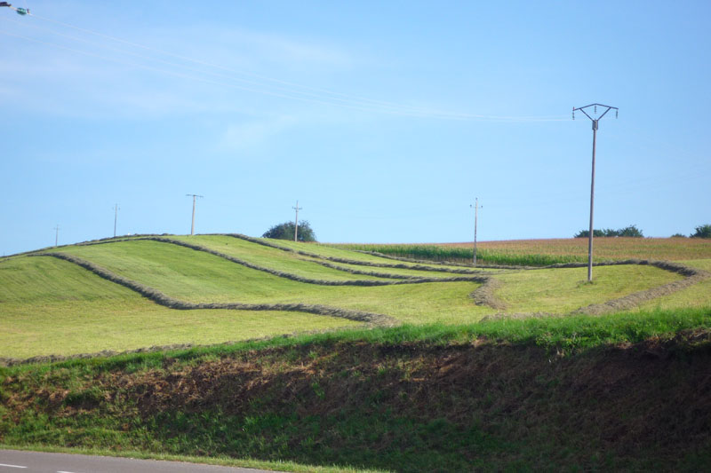 Próximo slide