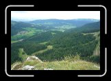 P1020182 * 800 x 533 * (155KB)