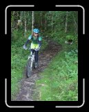 P1020251 * Single track no meio da floresta de sapins (pinheiros) * 600 x 800 * (197KB)