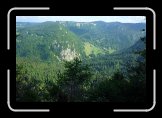 P1020389 * 800 x 533 * (168KB)